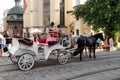 Promenade coach with two harnessed horses in Lvov