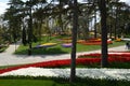 Promenade on Emirgan tulips park in Istanbul Royalty Free Stock Photo