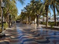 Promenade Explanada the main and famous tourist street Alicante Royalty Free Stock Photo