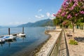 Landscape of lake Maggiore on a sunny day, Maccagno, Italy Royalty Free Stock Photo