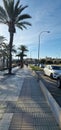 promenade by the sea coast in palma de mallorca spain