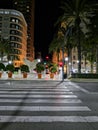 Promenade in a spanish city at night