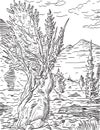 Prometheus Tree and Wheeler Peak in Great Basin National Park Nevada Woodcut Black and White