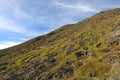 Image seen from Pico volcano, Pico Island, Azores Archipelago.