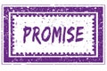 PROMISE in magenta grunge square frame stamp