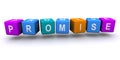 Promise word block on white Royalty Free Stock Photo