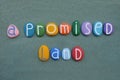 A promised land, creative motivational slogan composed with multicolored stone letters