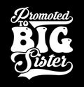 Promoted To Big Sister, Happy Birthday Gift For Sister, Baby Shower Sister Lover Tee Design