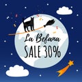 Promotion poster with cat on broom. Sale. Cute character for traditional christmas holiday Befana.