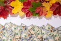 Promotion sale concept background with dollars money and leaves Royalty Free Stock Photo