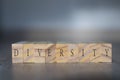 Promotion word - diversity on wooden cubes on green background