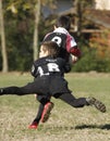 Promotional tournament of youth rugby Royalty Free Stock Photo