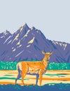 Pronghorn or American Antelope in Grand Teton National Park Wyoming WPA Poster Art