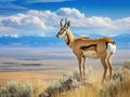 Ai Generated illustration Wildlife Concept of Pronghorn Sentry