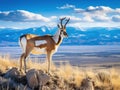 Ai Generated illustration Wildlife Concept of Pronghorn Sentry