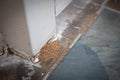 Proof of Termite Infestation Royalty Free Stock Photo