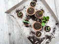Propagating multiple succulents from cuttings in small terracotta pots on a wooden table Royalty Free Stock Photo