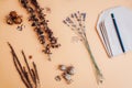 Propagation of plants. Flat lay of flower seeds mix. Saving dry seedpods of foxglove veronica lavender. Top view