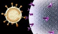 Propagation of the virus. How coronavirus attacks cells. If the virus finds a compatible receptor allow covid-19 to replicate Royalty Free Stock Photo