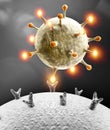 Propagation of the virus. How coronavirus attacks cells. If the virus finds a compatible receptor allow covid-19 to replicate Royalty Free Stock Photo