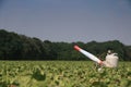 Propane cannon in a field with young crops Royalty Free Stock Photo