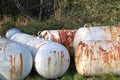 Propane Tanks Royalty Free Stock Photo