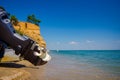 Propeller of boat on the sandy beach