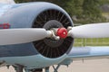 Propeller of old vintage airplane Royalty Free Stock Photo