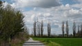 Propeller of the wind farm spins behind autumn poplars