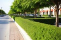 properly trimmed hedges along the sidewalks