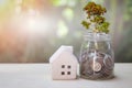 Property or real estate investment. Home mortgage loan rate. Reflection of tree plant growing out of coins in glass jar and house Royalty Free Stock Photo