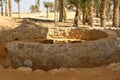 Prophet Moses Springs, Water wells and palms in Sinai Peninsula, Ras Sidr, Egypt, The Springs of Moses are a group of hot springs