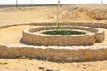 Prophet Moses Springs, Water wells and palms in Sinai Peninsula, Ras Sidr, Egypt, The Springs of Moses are a group of hot springs