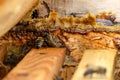 Propolis in the middle of a hive with bees. Bee glue. Bee products. Apitherapy. Apiculture.