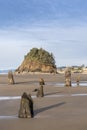 Proposal Rock and 2000 Year Old Fossilized Spruce Trees known as Ghost Trees appear when a Minus Tide Occurs. Royalty Free Stock Photo