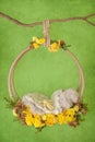 Props on the branch for a photo shoot of a newborn Royalty Free Stock Photo