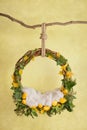 Props for photographing newborns, a hanging ring on a branch with pears and leaves on a yellow
