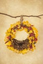 Props for photographing newborns, pendant ring on a branch with acorns, yellow and red leaves and a brown skin on a beige backgrou