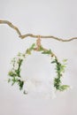 Props for shooting a newborn in a grape ring suspended on a branch decorated with floristry, cradle for a photo Royalty Free Stock Photo