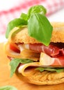 Prosciutto sandwich Royalty Free Stock Photo