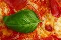 Proscuitto pizza background with meat and mozzarella closeup top view Royalty Free Stock Photo