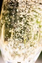 Prosecco with blubber, green background Royalty Free Stock Photo