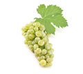 Chardonnay grape with a vine leaf on white background.