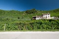 Prosecco Hills, vineyards and tree. Unesco Site. Valdobbiadene, Veneto, Italy. Royalty Free Stock Photo