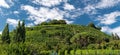 Prosecco Hills, vineyards and tree. Unesco Site. Valdobbiadene, Veneto, Italy. Royalty Free Stock Photo