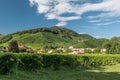 Prosecco Hills, vineyards and tree. Unesco Site. Valdobbiadene, Veneto, Italy. Royalty Free Stock Photo