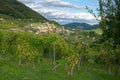 Proseco Hills UNESCO World Heritage Site Royalty Free Stock Photo