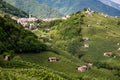 Prosecco region, view of hills with vineyards, sunny day Royalty Free Stock Photo