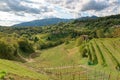 Proseco Hills UNESCO World Heritage Site Royalty Free Stock Photo