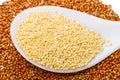 Proso and millet in the spoon Royalty Free Stock Photo